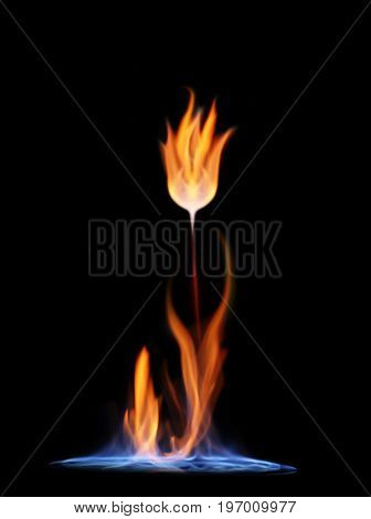 Flower of flame on black background. Wildfire concept