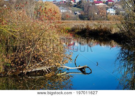 A View Of The Blue Water Flow And Vegetation In The Countryside.