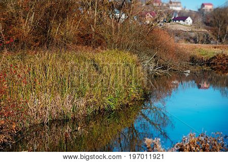 A View Of The Blue Water Flow And Vegetation In The Countryside.