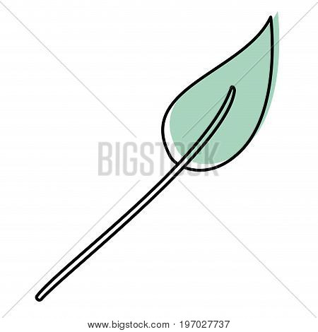 watercolor silhouette of lanceolate leaf plant vector illustration