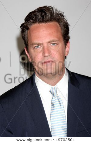 Los Angeles, ca aug 1: Matthew Perry in der Disney / Abc Sommer Presse Tour auf august 1, 2010 in 