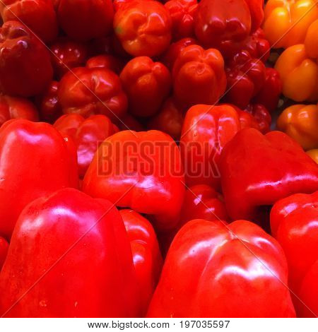 Colorful pepper: red, orande, yellow. Mobile photo