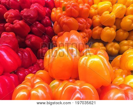 Colorful pepper: red, orande, yellow. Mobile photo