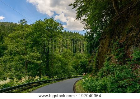 Road in the mountains, Bohemian Switzerland national park