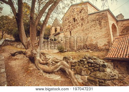 Brick walls of historical the Shio-Mgvime Christian monastery built in green canyon in 6th century in Mtskheta, Georgia.
