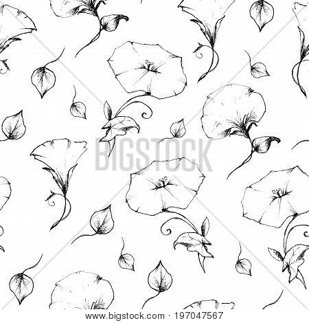 Seamless pattern of convolvulus retro vintage. Vector illustration.