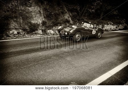 GOLA DEL FURLO, ITALY - MAY 19: ARNOLT BRISTOL BOLIDE 1954 1 on an old racing car in rally Mille Miglia 2017 the famous italian historical race (1927-1957) on May 19 2017