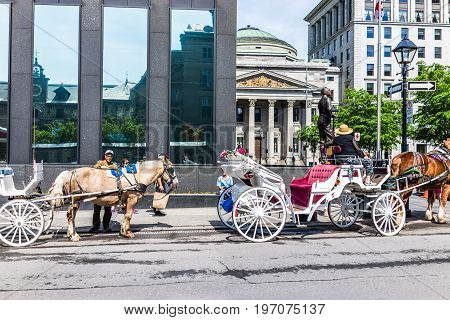 Montreal, Canada - May 28, 2017: Old Town Area With Tour Guide On Road In Horse Carriage Buggy Durin