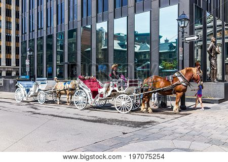Montreal, Canada - May 28, 2017: Old Town Area With Tour Guide On Road In Horse Carriage Buggy Durin