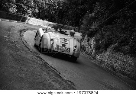 GOLA DEL FURLO, ITALY - MAY 19: JAGUAR XK 120 OTS ROADSTER 1954 on an old racing car in rally Mille Miglia 2017 the famous italian historical race (1927-1957) on May 19 2017