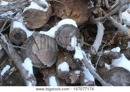 Snow covered logs on a cold winter day.