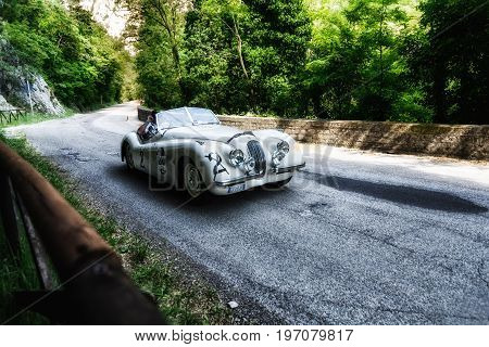 GOLA DEL FURLO, ITALY - MAY 19 : JAGUAR XK 120 OTS ROADSTER 1950 on an old racing car in rally Mille Miglia 2017 the famous italian historical race (1927-1957) on May 19 2017