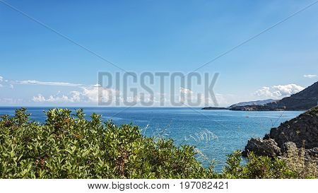 Sea coast and sea horizon with clouds behind green bushes