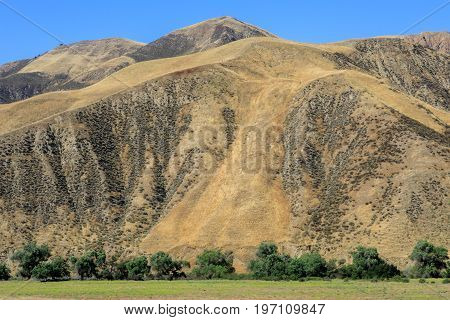 Paicines Wilderness. San Benito County, California, USA.