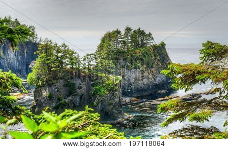 Washington's most beautiful corner and the Lower 48's Northwestern most point at Cape Flattery Washington.