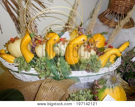 Domestick vegetables can be same amazing as outdoor. Now you can see it.