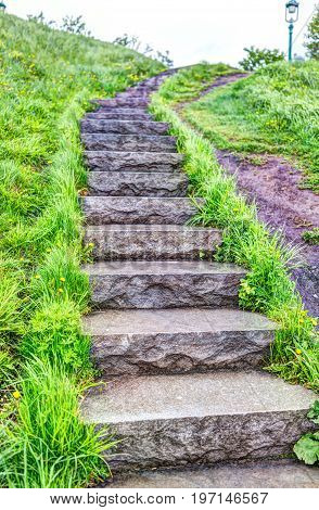 Closeup Of Wet Stone Steps Looking Up In Green Grass Park During Summer