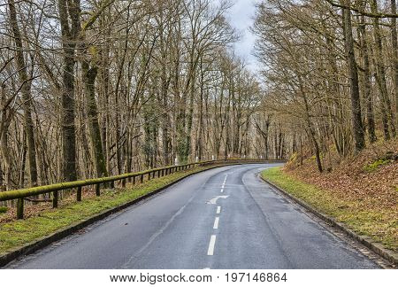 Image of an empty curved road in a forest in early spring.