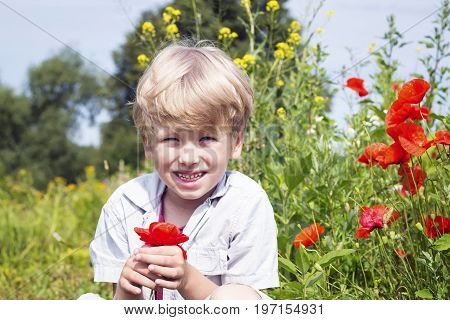 Nice blond boy with a red poppy in his hand.Boy in a poppy field springtime gathering wild flowers