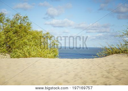 A beautiful sand dunes in a Neringa National park. Travel photo