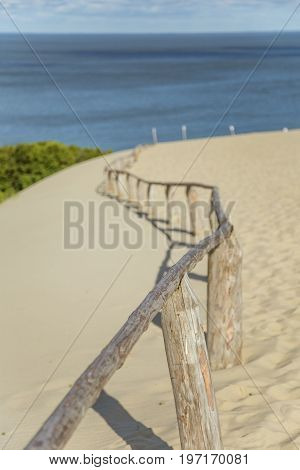 A beautiful sand dunes in a Neringa National park. Travel photo