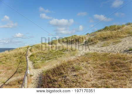 A beautiful sand dunes in a Neringa National park. Travel photo