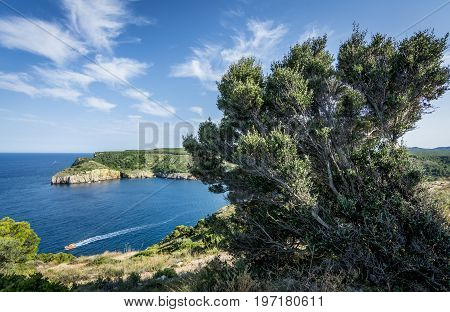 Small bay of Cala Montgo in Costa Brava. Montgo beach is a natural and awesome place of la Escala and Torroella de Montgri in Girona province, Catalonia, Spain