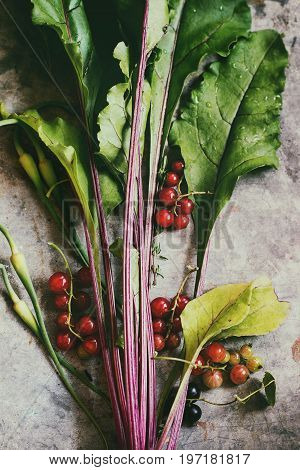 Variety of raw organic young vegetables beetroot with haulm, garlic, leaf salad, red currant over gray texture background. Top view