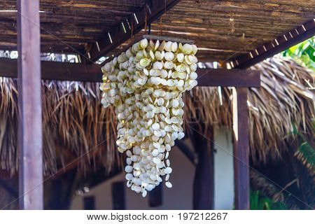 decorations made from white sea shells under the wood roof
