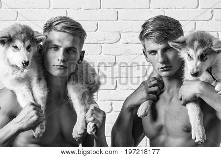 Men Twins Macho 图片和照片（免费试用） | Bigstock