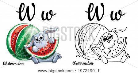 Vector alphabet letter W for children education with funny cartoon watermelon and bunny. Isolated. Learn to read. Coloring page.