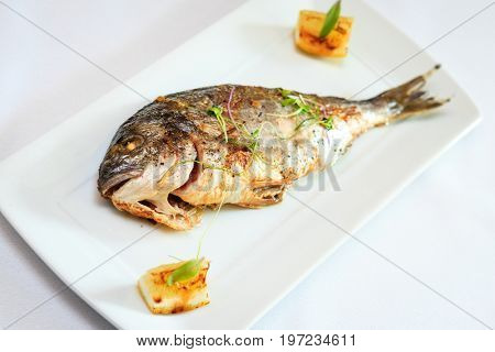 Grilled dorada fish with lemon and salad served on a white plate