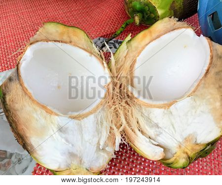 Fresh coconut cut in half from the Cayman Islands.