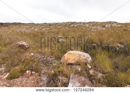 Underground vegetation and rocks Serra da Canastra National Park is a national park in the Canastra Mountains of the state of Minas Gerais Brazil.