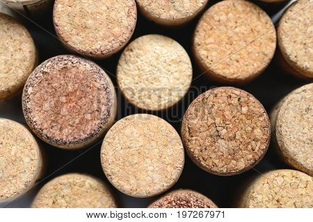 Many wine corks macro closeup texture background