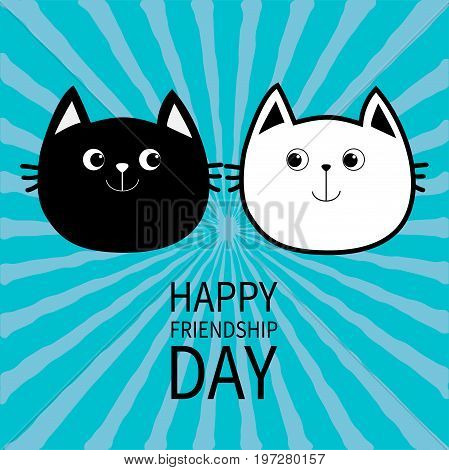 Happy Friendship Day. Black White contour Cat head couple family icon. Cute funny cartoon character set. Greeting card. Kitty Whisker Baby pet collection Blue starburst background. Flat design Vector