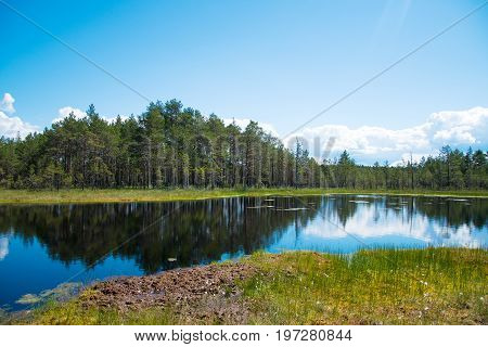 A Viru Raba Swamp Lake In Estonia.