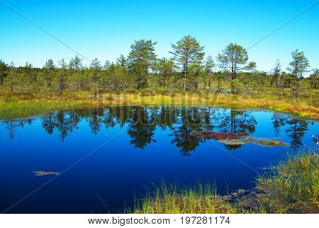 A Viru Raba Swamp Lake In Estonia.