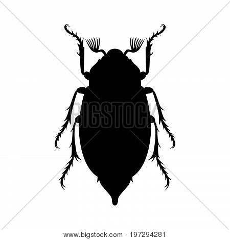 May beetle or cockchafer, or tree-beetle, shade picture