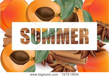Summer appricot and cinnamon background pattern Vector illustrations