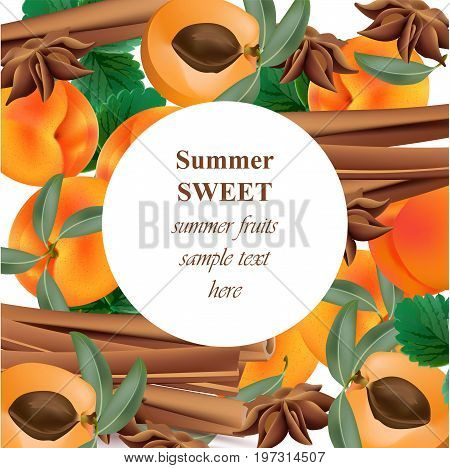 Summer appricot and cinnamon background pattern Vector illustration
