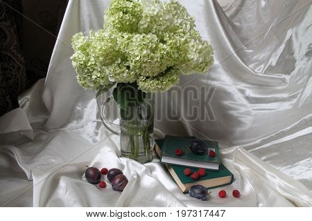 bouquet of white hydrangea flower in summer bloom with book in green cover and ripe sweet pulms and raspberries