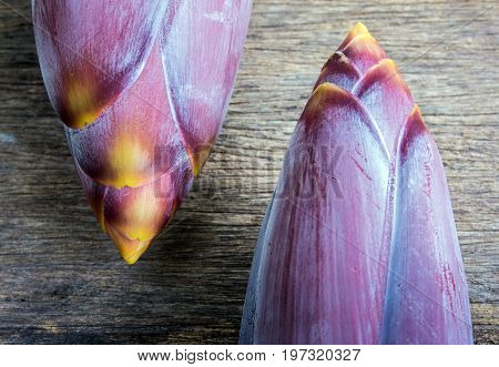 Silver Bluggoe Banana Blossom