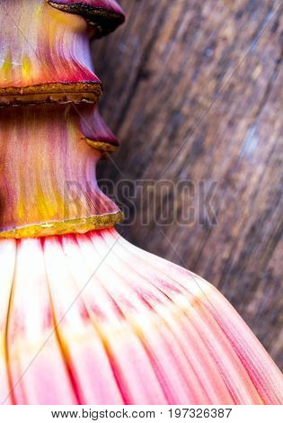 Silver Bluggoe Banana Blossom