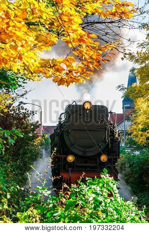 View on narrow gauge steam train in Wernigerode - Harz - Germany