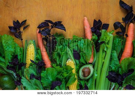 Vegetable Background With Copy Space. Lettuce, Basil, Three Carrots, Two Corns And Half Avocado On W
