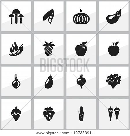 Set Of 16 Editable Berry Icons. Includes Symbols Such As Chili, Turnip, Sugar Basin And More