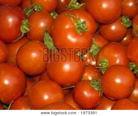 Deep_Red_Tomatoes