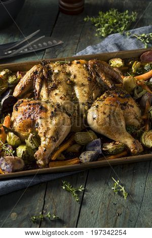 Herbed Baked Spatchcock Chicken