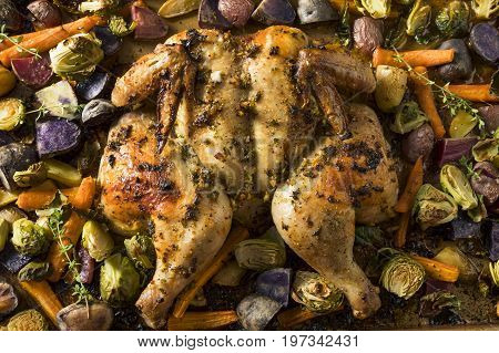 Herbed Baked Spatchcock Chicken